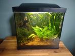 Superfish aquarium 27 liter, Dieren en Toebehoren, Vissen | Aquaria en Toebehoren, Ophalen, Gebruikt, Leeg aquarium