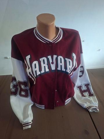 Harvard College varsity jas beschikbaar voor biedingen