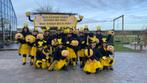 Leuke vogels voor carnaval loopgroep, Jongen of Meisje, Gebruikt, Ophalen of Verzenden