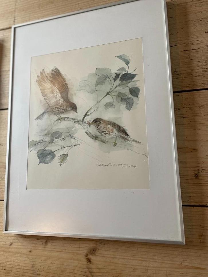 Aquarel van Mads Stage (1922-2004) Deens kunstenaar, Antiek en Kunst, Kunst | Schilderijen | Klassiek, Ophalen