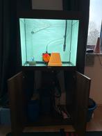Aquarium Juwel kubus 120, Dieren en Toebehoren, Vissen | Aquaria en Toebehoren, Ophalen, Gebruikt, Leeg aquarium