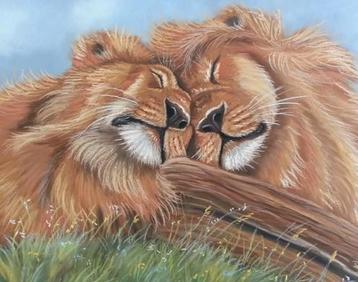 Schilderij leeuwen - met lijst - eigen werk - wildlife beschikbaar voor biedingen