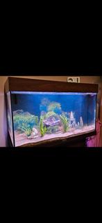 Juwel rio aquarium 125liter compleet!! Graag snel ophalen!, Dieren en Toebehoren, Vissen | Aquaria en Toebehoren, Ophalen, Gebruikt