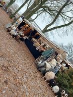 Wollen Warmte: Schapenvachten, Sloffen & Meer!, Ophalen, Nieuw