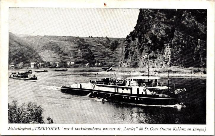 Rotterdam - Motorsleepboot Trekvogel, Verzamelen, Ansichtkaarten | Nederland, Ongelopen, Zuid-Holland, 1940 tot 1960, Verzenden