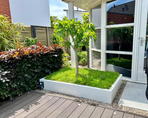 Micto stalen plantenbakken, Tuin en Terras, Bloembakken en Plantenbakken, Zo goed als nieuw, Metaal, Tuin, 30 tot 60 cm, 100 cm of meer