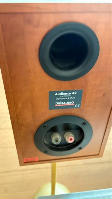 Dynaudio Audience 42 kersenhout. beschikbaar voor biedingen