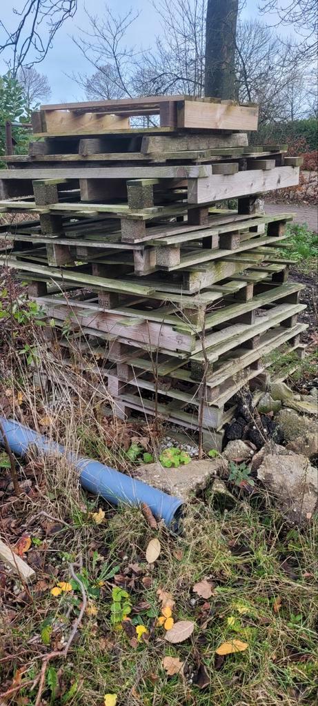 Partij Pallets - 15 stuks + 4 EPAL, Doe-het-zelf en Verbouw, Hout en Planken, Zo goed als nieuw, Pallet, Ophalen