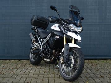 TRIUMPH TIGER 800 volledig onderhouden Koffer Handvatverw beschikbaar voor biedingen