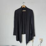 Julien le Roy grijs lang vest maat L, Kleding | Dames, Verzenden, Maat 42/44 (L), Zo goed als nieuw, Grijs