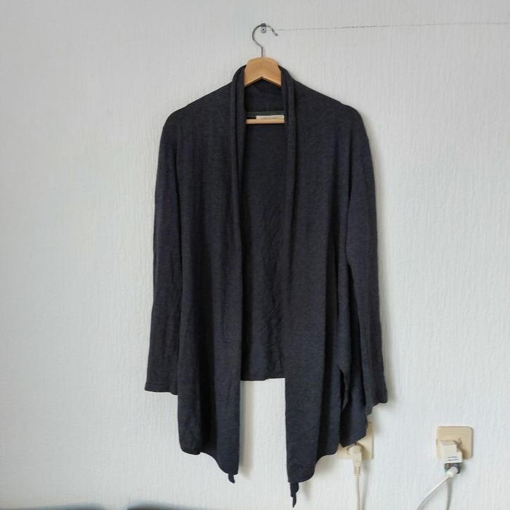 Julien le Roy grijs lang vest maat L, Kleding | Dames, Truien en Vesten, Zo goed als nieuw, Maat 42/44 (L), Grijs, Verzenden