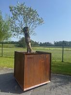 Corten-A staal industriële plantenbak, Ophalen, Tuin, Vierkant, Nieuw