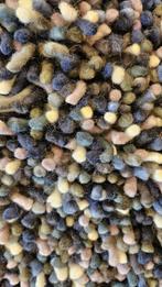 Brinker vloerkleden Sale, Huis en Inrichting, Stoffering | Tapijten en Kleden, Ophalen, Overige kleuren, 200 cm of meer, Rechthoekig