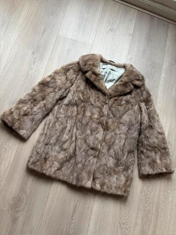 Vintage nertsenbontjas – Silverblue nerts – met certificaat beschikbaar voor biedingen