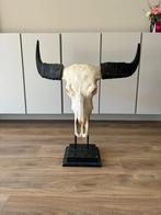 Waterbuffel schedel op standaard, Antiek en Kunst, Ophalen