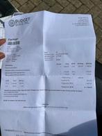 Brand New Vogue e bike for Sale, Fietsen en Brommers, Elektrische fietsen, Nieuw, 51 tot 55 cm, 50 km per accu of meer, Ophalen