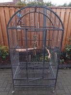 Te koop :grote vogel kooi, Ophalen, Gebruikt, Metaal, Vogelkooi
