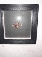 Gaud kleurige bij in zwart lijstje 3d, Huis en Inrichting, Woonaccessoires | Lijsten, Minder dan 50 cm, Ophalen of Verzenden, Zo goed als nieuw