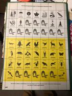 876 Compleet vel Cinderella, Ophalen of Verzenden, Envelop