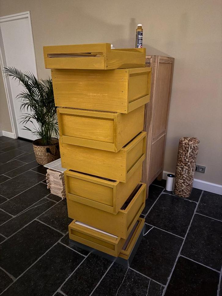 bijenvolk te Koop, Dieren en Toebehoren, Insecten en Spinnen, Bijen