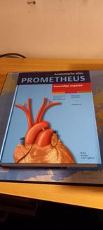 Anatomische atlas Prometheus tweede druk in goede staat, Boeken, Verzenden, Zo goed als nieuw, Michael Schünke; Erik Schulte; Udo Schumacher