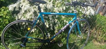 Racefiets Giant beschikbaar voor biedingen