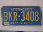 Kentekenplaat Pennsylvania Amerika usa., Verzamelen, Automerken, Motoren en Formule 1, Ophalen of Verzenden, Gebruikt, Auto's