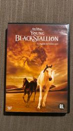 Young black stallion - dvd, Cd's en Dvd's, Dvd's | Avontuur, Alle leeftijden, Ophalen of Verzenden, Zo goed als nieuw