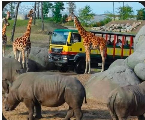 2 tickets voor Wildlands, Tickets en Kaartjes, Recreatie | Dierentuinen, Twee personen, Ticket of Toegangskaart