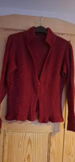 Leuk bordeaux vest van Lien en Giel - Maat S, Kleding | Dames, Truien en Vesten, Ophalen of Verzenden, Zo goed als nieuw, Maat 36 (S)