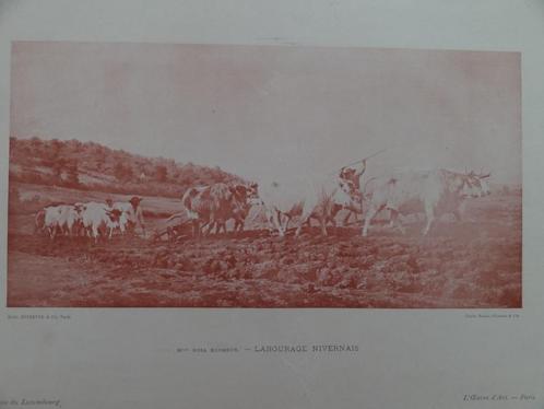 Rosa Bonheur, La labourage Nivernais, Musée du Luxembourg, Antiek en Kunst, Kunst | Tekeningen en Foto's, Verzenden