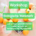 Workshop Biologische waterkefir natuurlijke probiotica, Eén persoon