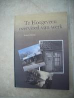 Te Hoogeveen overvloed van werk - Lammert Huizing, Ophalen of Verzenden, 20e eeuw of later, Nieuw, Lammert Huizing