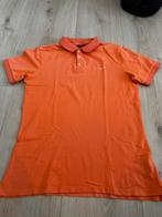 Polo shirt Cavallaro Napoli M, Ophalen of Verzenden, Zo goed als nieuw, Cavallaro Napoli, Overige maten
