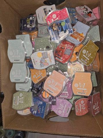 scentsy waxbars beschikbaar voor biedingen