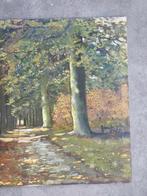 Antiek schilderij olieverf paneel bosgezicht B. Van Reenen, Ophalen of Verzenden