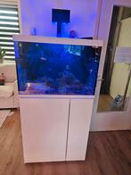 Compleet zeeaquarium, Ophalen, Gevuld zeewateraquarium