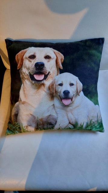 Labrador kussen 40x40 cm   beschikbaar voor biedingen