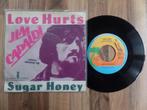 single  Jim Capaldi - Love Hurts* , Gebruikt, 7 inch, Single, Ophalen of Verzenden