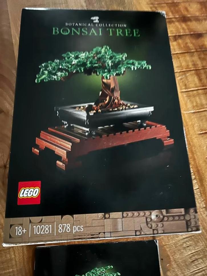 LEGO Botanical Collection Bonsai Tree 10281, Kinderen en Baby's, Speelgoed | Duplo en Lego, Gebruikt, Lego, Complete set, Ophalen of Verzenden