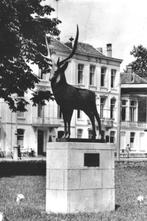 962359	Arnhem	Willemsplein		1955	Postzegel afgeweekt, 1940 tot 1960, Gelopen, Gelderland, Ophalen of Verzenden