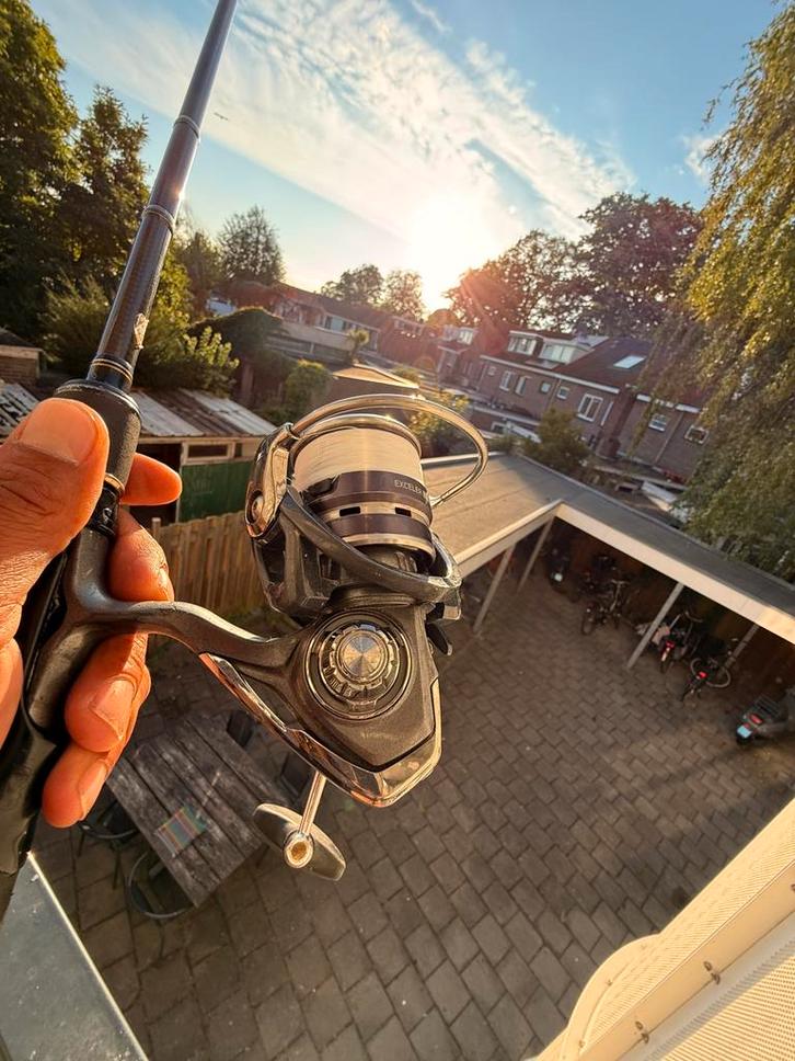 Hearty Rise Evolution | Daiwa Exceler, Watersport en Boten, Hengelsport | Roofvissen, Gebruikt, Werphengel, Ophalen