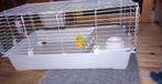 Cavia kooi met benodigdheden, Kooi, 110 cm of meer, Zo goed als nieuw, Cavia