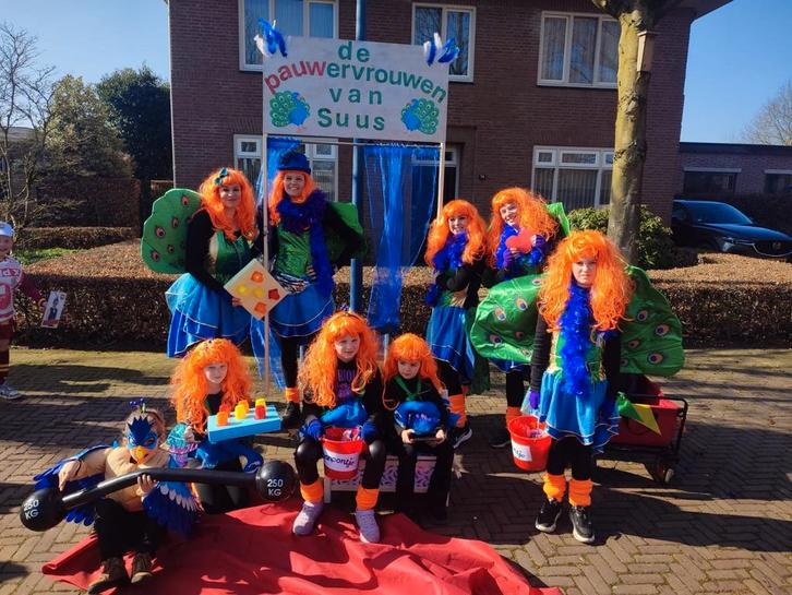 Optocht loopgroep carnaval pauw verkleedkleding, Kleding | Dames, Carnavalskleding en Feestkleding, Gedragen, Kleding, Carnaval