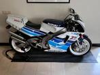 Suzuki RGV 250, Motoren, 250 cc, 2 cilinders, Meer dan 35 kW, Sport