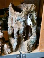 boomstronken, Ophalen of Verzenden, Nieuw, Plant(en), Steen of Hout