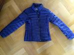 Jack Tommy Hilfiger, Kleding | Dames, Ophalen of Verzenden, Zo goed als nieuw, Blauw