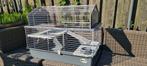 Ferplast knaagdieren hok dubbele verdieping, Dieren en Toebehoren, Cavia, Zo goed als nieuw, Hok, Ophalen