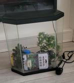 Compleet klein aquarium!, Dieren en Toebehoren, Ophalen, Leeg aquarium