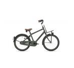 Bike fun Load 20 groen 20 jongens 34cm 20inch, Fietsen en Brommers, Fietsen | Jongens, Nieuw, BIKE FUN, Versnellingen